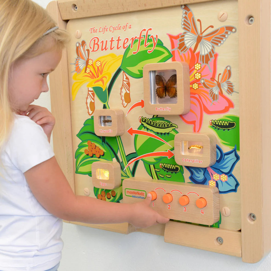 Masterkidz Light Up Butterfly Life Cycle Stages Wall Element