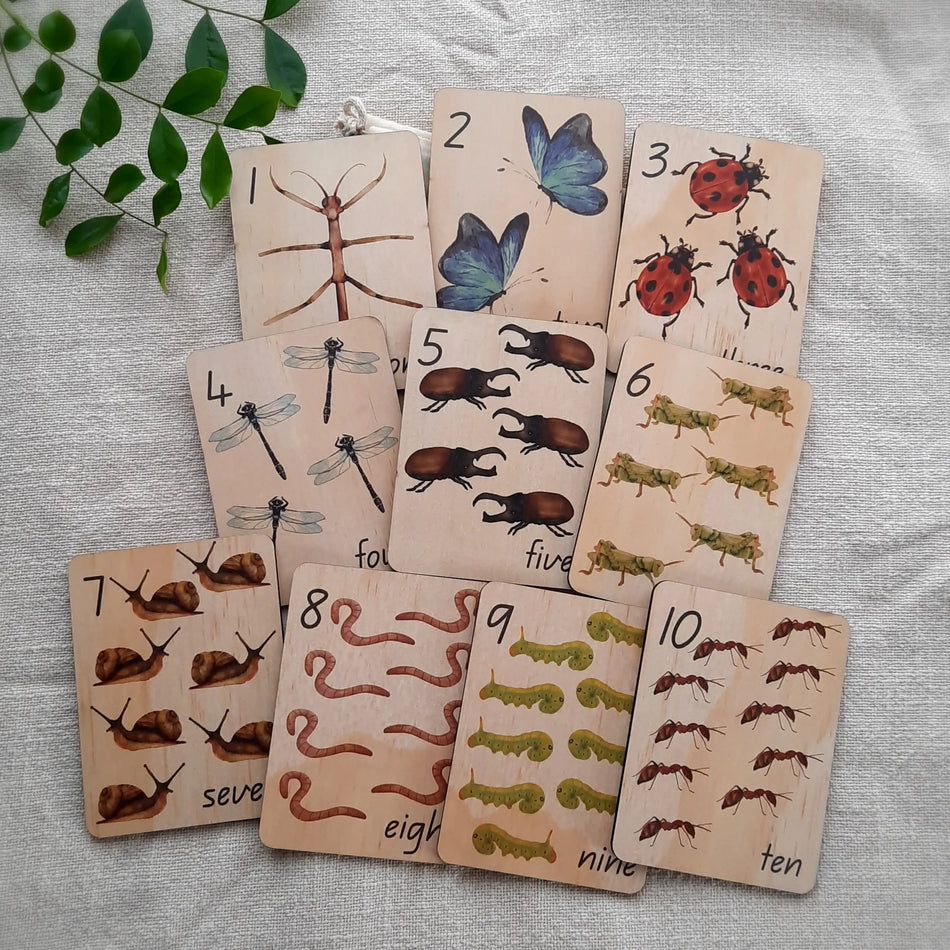 My Little Set Mini Flash Cards Mini Beasts