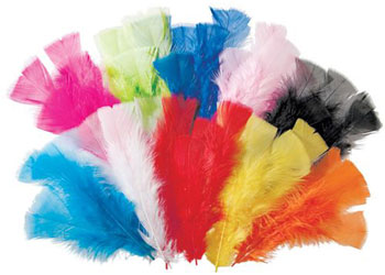 Feathers Assorted 60g Pk 240
