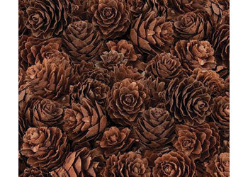 Mini Pine Cones Pk 190g