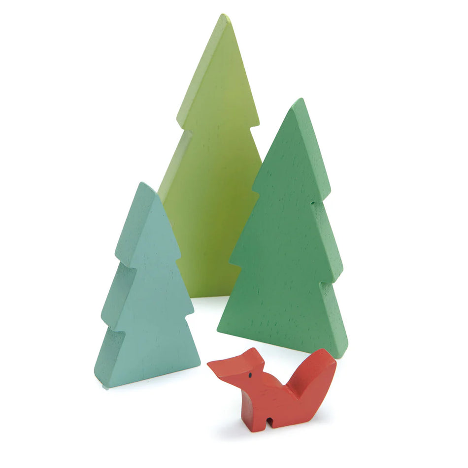 Tender Leaf Fir Tree Tops
