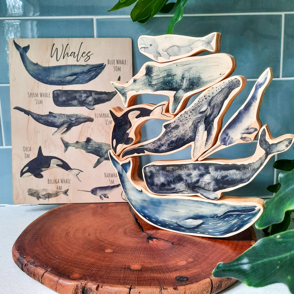 My Little Set Whale Wonderland