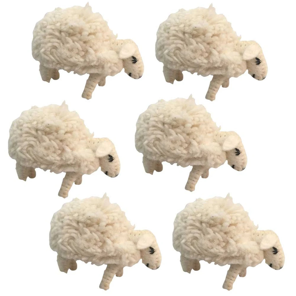 Papoose Little Sheep 6pc